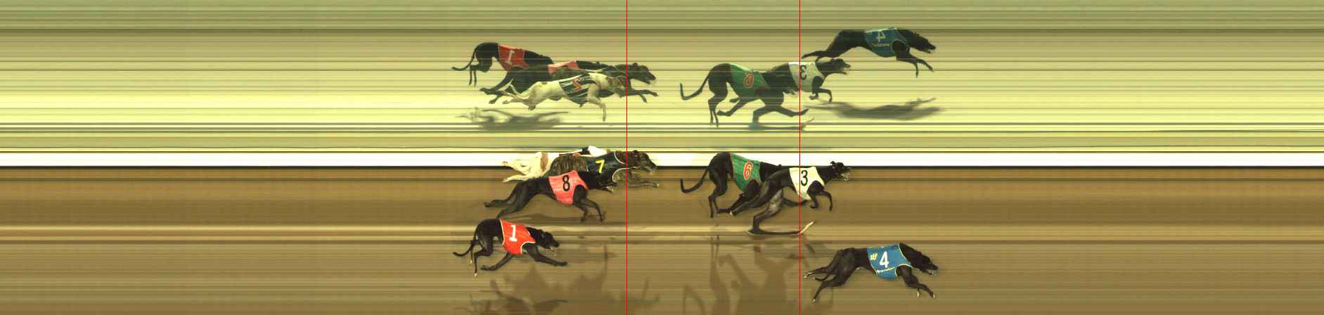 Race result finish photo